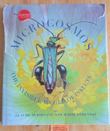 Microcosmos The invisisble world of insects