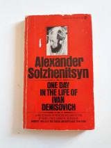 One day in the life of Ivan Denisovich