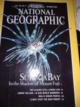 National Geographic V178, N4