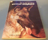 How to Raise and Train a German Shepherd