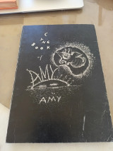 The book of Amy