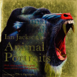 Animal Portraits