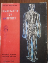 Σωματολογία του ανθρώπου