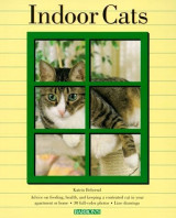 Indoor Cats