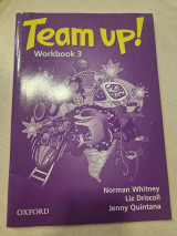 Team Up! Workbook 3