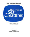 Dangerous Sea Creatures