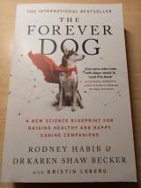 The Forever Dog