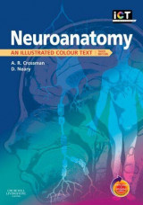 Neuroanatomy