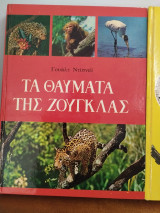 Τα Θαύματα της Ζούγκλας
