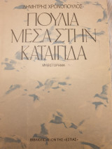 Πουλιά μέσα στην καταιγίδα