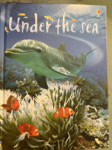 Under the sea