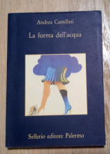 La forma dell' acqua