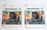 Adobe Photoshop 3.0