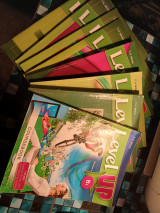 Level Up B1 Teacher's books