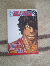 Bleach, Vol. 5